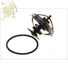 25510-41020 Термостат HYUNDAI HD65,72 (RIDER) RD.1517255104