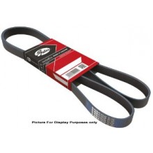 5PK1090 Ремень ручейковый Gates Micro-V XF (SKF)