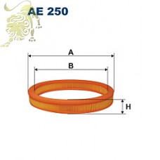 AE250 FILTRON Фильтр воздушный (WA6003 WIX) FORD