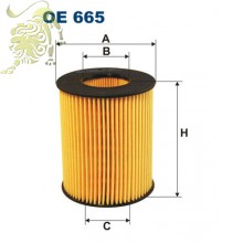 OE665 FILTRON Фильтр масляный Ford IPEO-730 (A210161)
