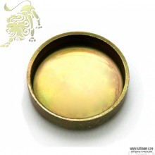 Заглушка блока 2101-08 d=36 сред.2101-10043292-01